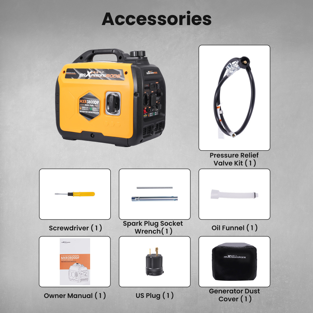 3800W Quiet Dual Fuel Inverter Generator lightweight 24kg For outdoor Camping