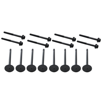 Timing Chain Tensioners Piston Repair Kit compatible for VW Tiguan compatible for Golf 5 Audi A1 8X1 1.4