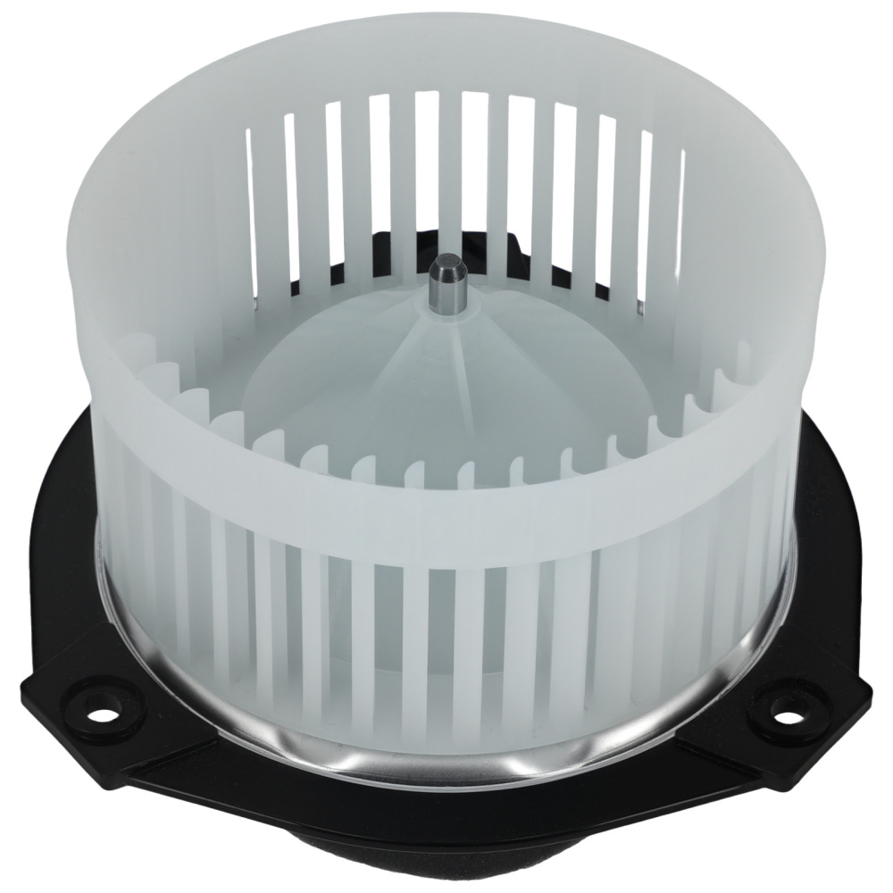 A/C Heater Blower Motor W/ Fan compatible for Chevrolet Trailblazer compatible for EXT GMC Envoy 700109