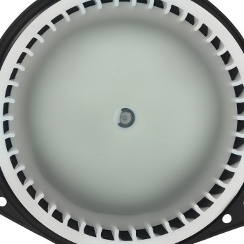 Heater Blower Motor with Fan Cage compatible for Mitsubishi Lancer Outlander 08-17 75848