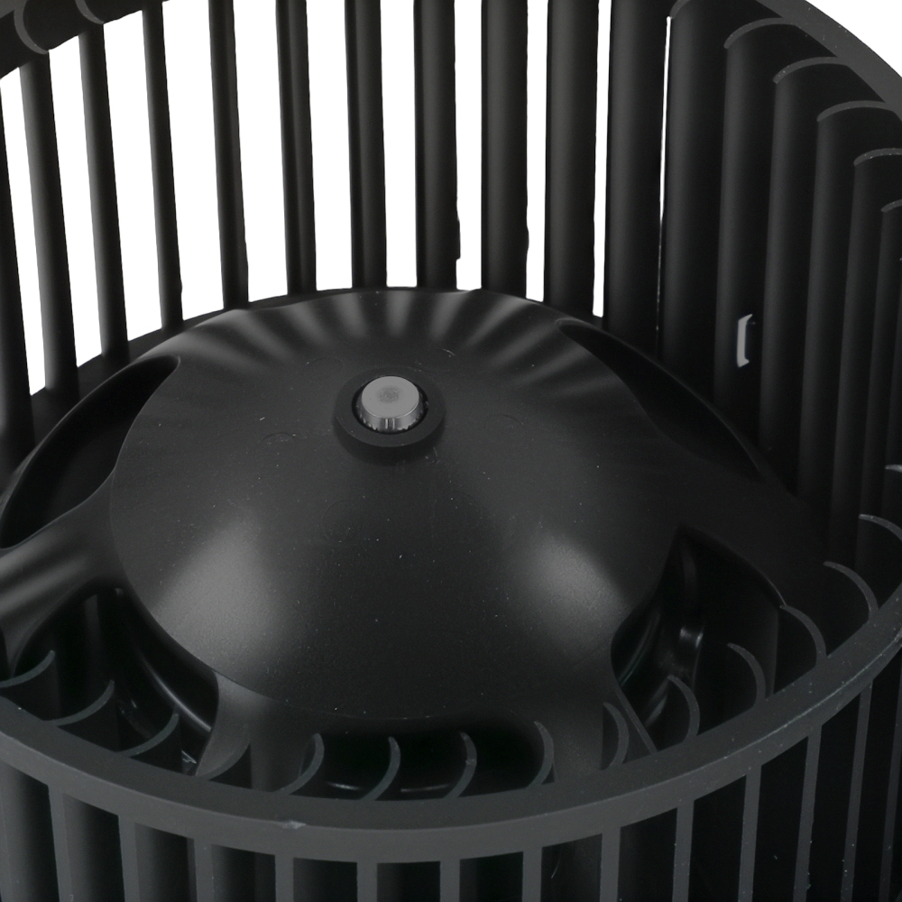 Motore Riscaldamento compatibile per Citroën Berlingo M 1.9D 70 69CV 6441S0 030840SR 715053