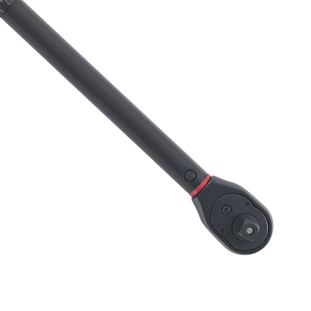 Chiave Dinamometrica 10-60Nm 3/8 for Auto Moto Con Set Completo