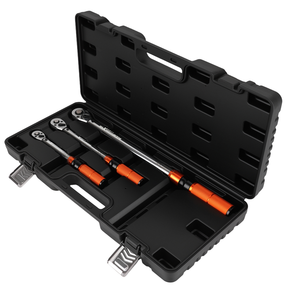 Chiave Dinamometrica Professionale Set 1/4 3/8 1/2 Pollici 5-220Nm Valigetta