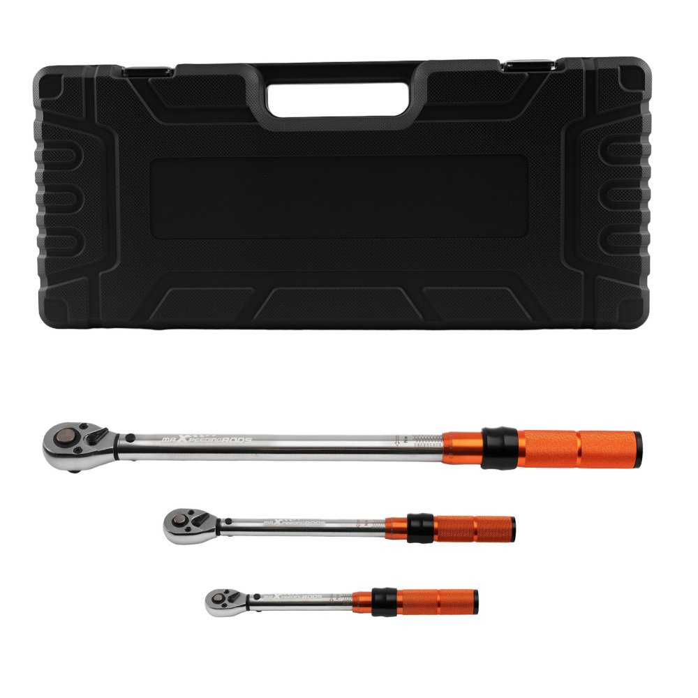 Chiave Dinamometrica Professionale Set 1/4 3/8 1/2 Pollici 5-220Nm Valigetta