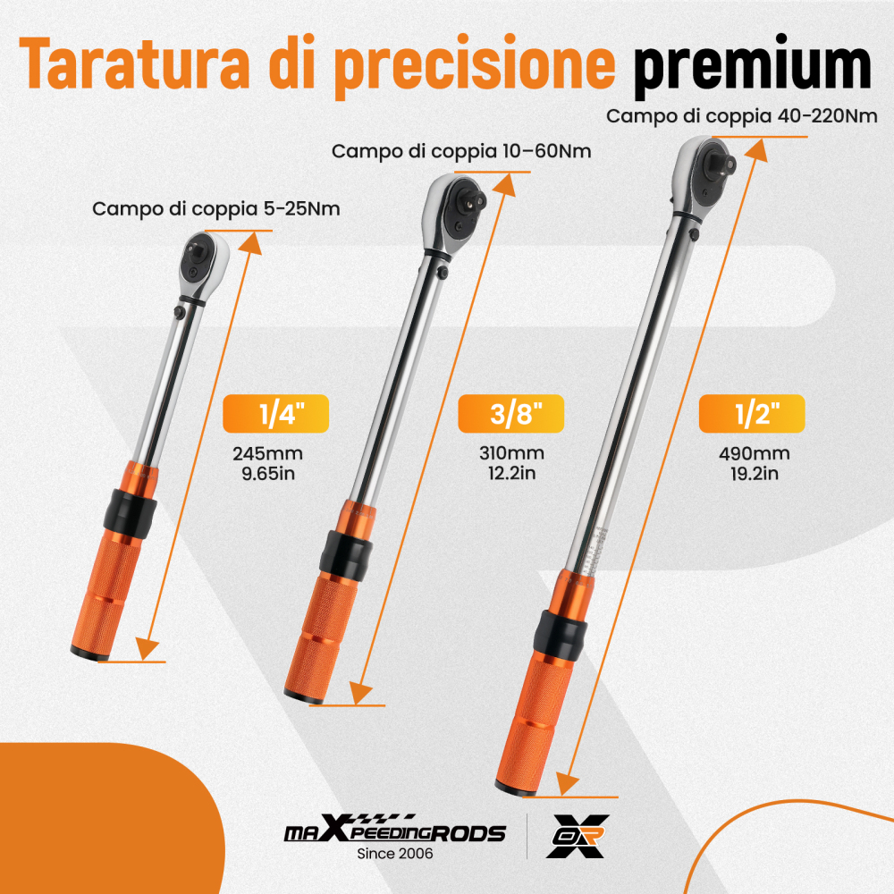 Chiave Dinamometrica Professionale Set 1/4 3/8 1/2 Pollici 5-220Nm Valigetta