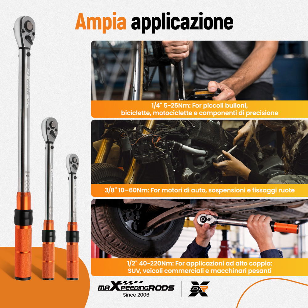 Chiave Dinamometrica Professionale Set 1/4 3/8 1/2 Pollici 5-220Nm Valigetta