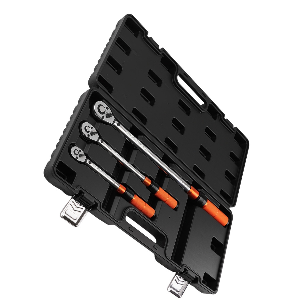 Chiave Dinamometrica Professionale Set 1/4 3/8 1/2 Pollici 5-220Nm Valigetta