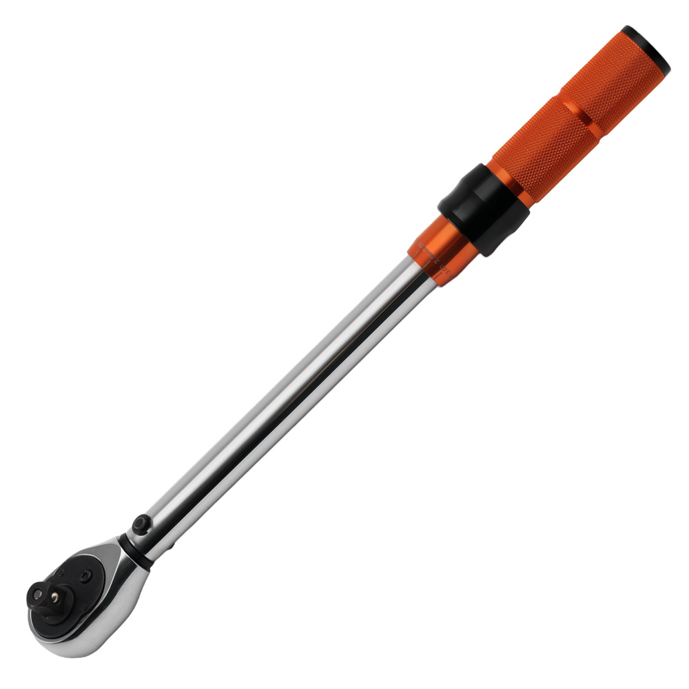 Chiave Dinamometrica Professionale Set 1/4 3/8 1/2 Pollici 5-220Nm Valigetta