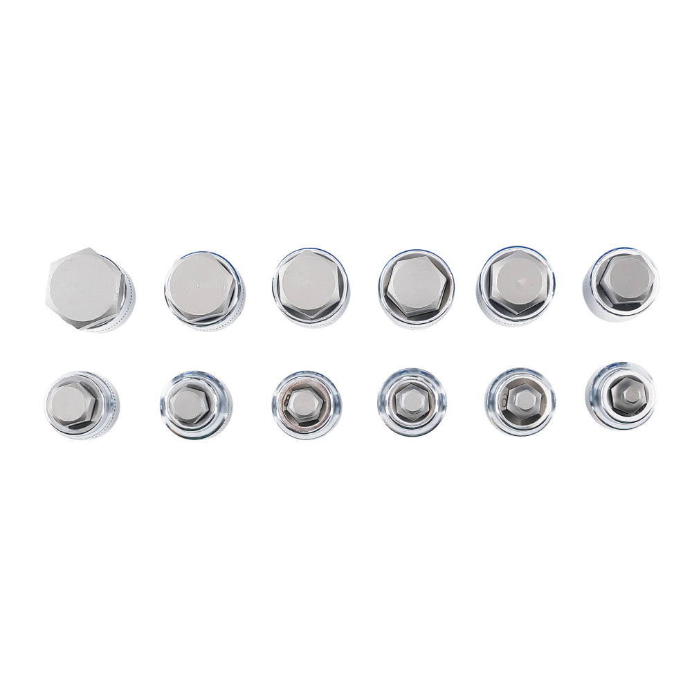 12 Douilles Hex 1/2 Acier Carbone H5-H8-H10-H16-H22 for Clé à Cliquet