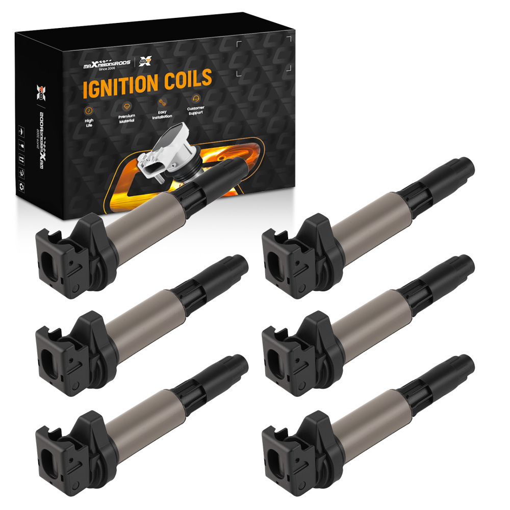 Ignition Coil Pack compatible for BMW X3 X5 X6 750i 750Li E65 E66 2006-2008 12137551260