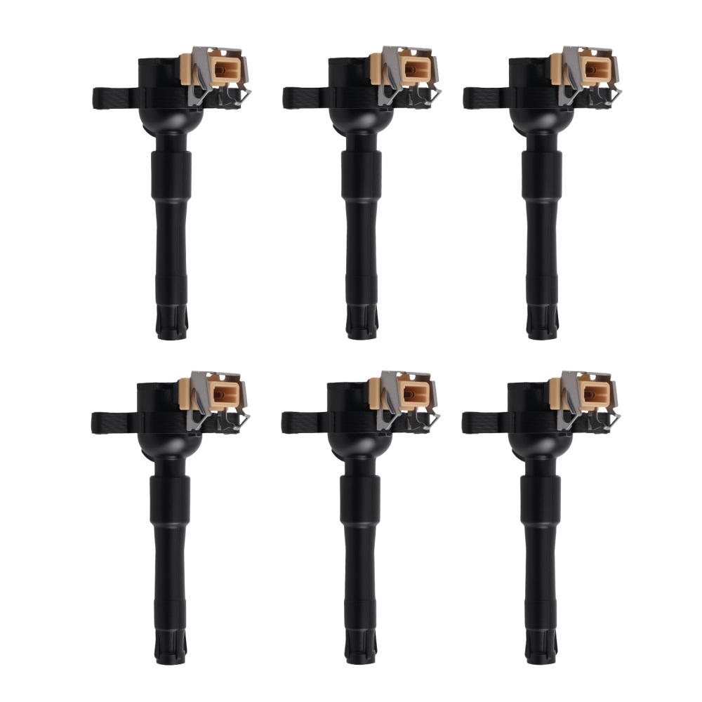 6x Bobina d'accensione compatibile per BMW e36 323i 2.5 328i 193 231 170 CV 320i e46 323 325