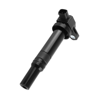 6 Ignition CoilsSpark Plugs compatible for Hyundai Santa Fe compatible for Kia Rondo V6 2.7L UF558 5018