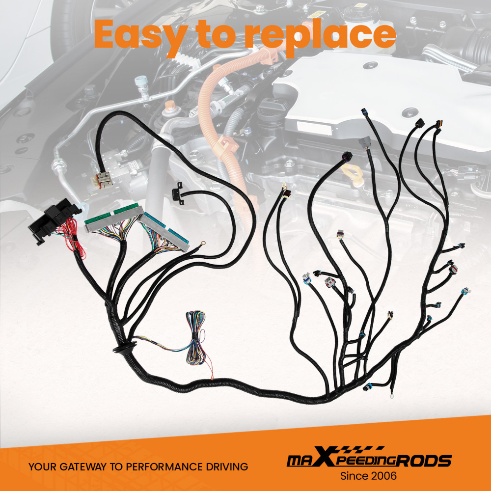 03-07 Swap Harness for LS1 Vortec T56 4L80E 4.8 5.3 03-07 DBW 18 add length