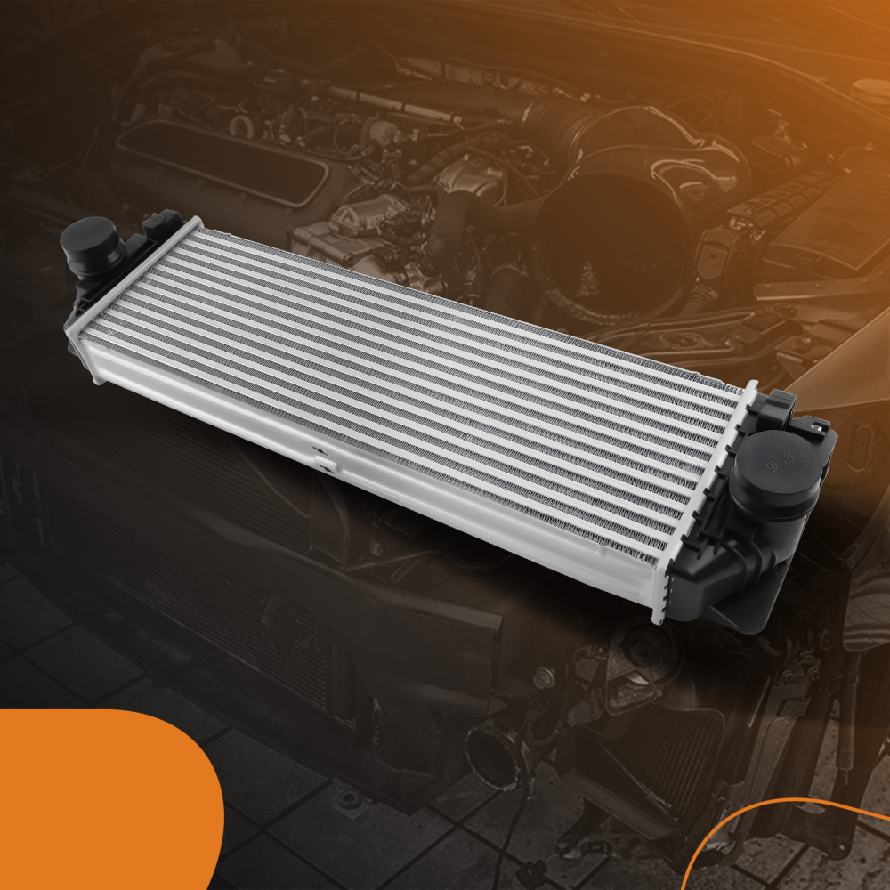 Intercooler compatibile per Mercedes-Benz Sprinter 2500/3500 3.0L-V6 2010-2022 9065010201