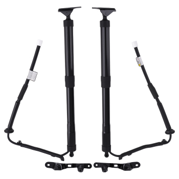 2x Tailgate Power Trunk Hatch Lift Support Shock compatible for Toyota RAV4 Limited 2.5L L4