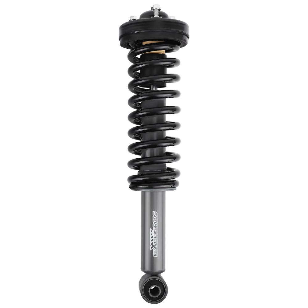 Front Shocks Struts Assembly compatible for Ford F150 4WD 2009 2010 2011 2012 2013