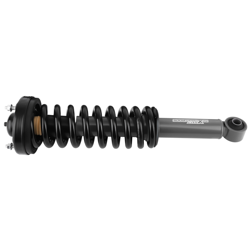 Front Shocks Struts Assembly compatible for Ford F150 4WD 2009 2010 2011 2012 2013