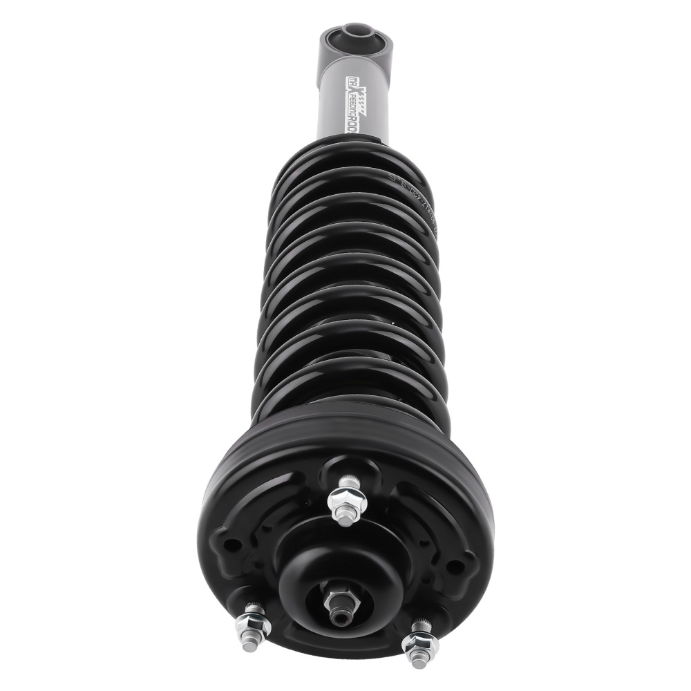 Front Shocks Struts Assembly compatible for Ford F150 4WD 2009 2010 2011 2012 2013