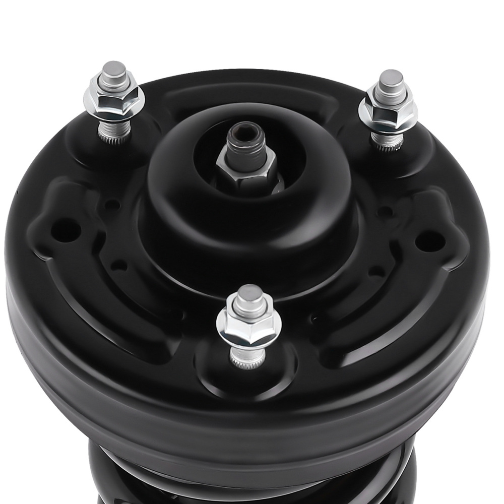 Front Shocks Struts Assembly compatible for Ford F150 4WD 2009 2010 2011 2012 2013