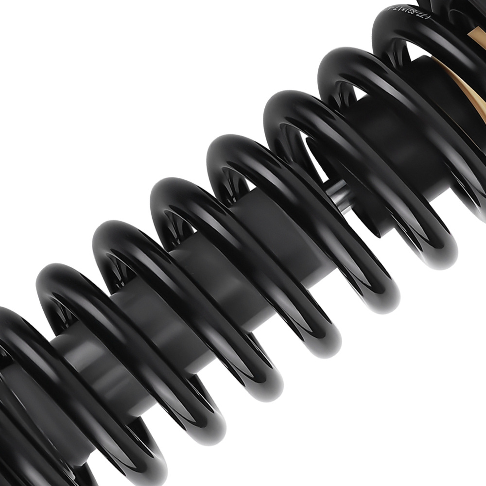 Front Shocks Struts Assembly compatible for Ford F150 4WD 2009 2010 2011 2012 2013