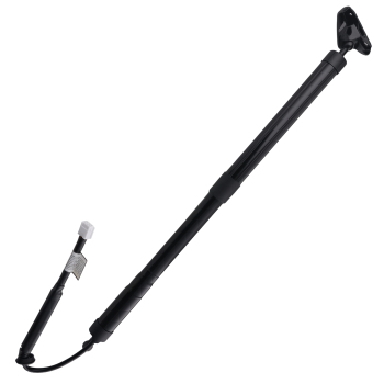 2pcs Rear Hatch Lift Support Rear compatible for Toyota Highlander 2014-2019 6891009120