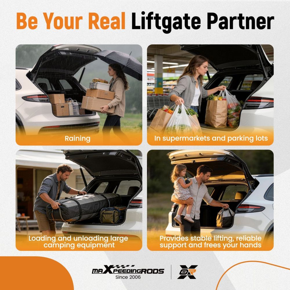 Tailgate Lift Support compatible for Land Rover Range Rover Evoque 2.0L 2018-2019 LR126176