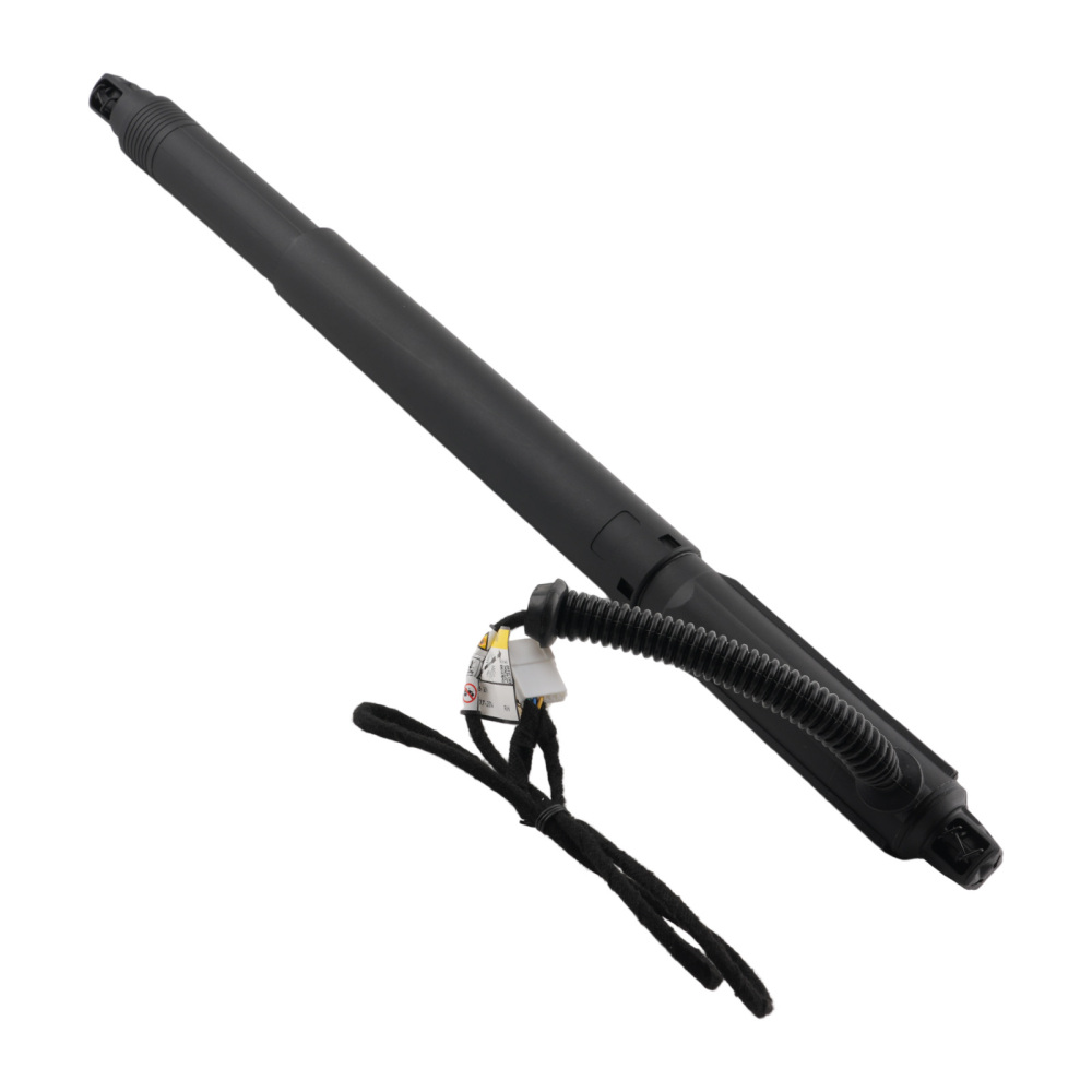 Ammortizzatore Destro Elettrico compatibile per BMW X6 E71 E72 Hybrid 2007-2014 51247332698