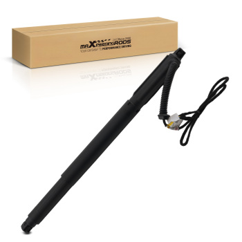 Ammortizzatore Destro Elettrico compatibile per BMW X6 E71 E72 Hybrid 2007-2014 51247332698