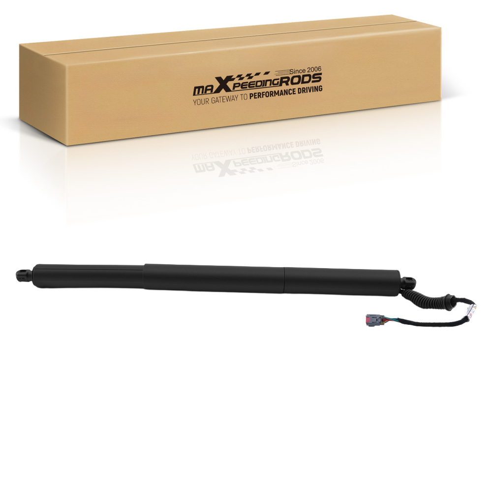Rear Tailgate Power Hatch Lift Support Strut Shock compatible for Ford SE SEL FT4Z-14B351-A