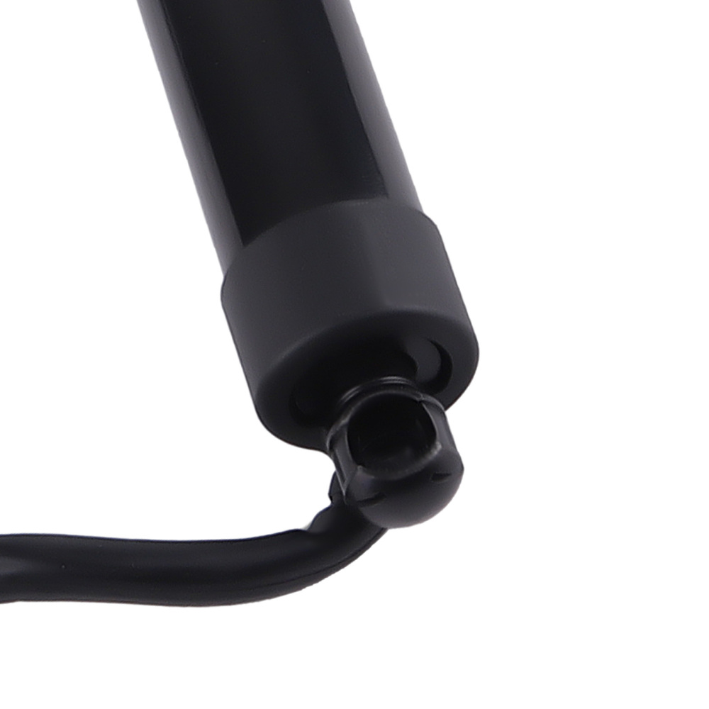 Tailgate Lift Support for Porsche Panamera 3.0L-4.8L 2010-2016 97051257308