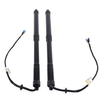 Supporto Portellone compatibile per Porsche Panamera 2010-2016 97051257304 3.0L Posteriore