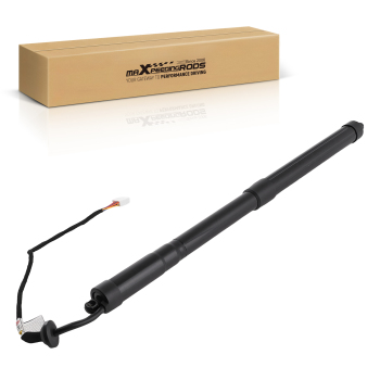 Power Tailgate Hatch Lift Support compatible for Lexus NX300 NX300h Rear Right 2018-2021