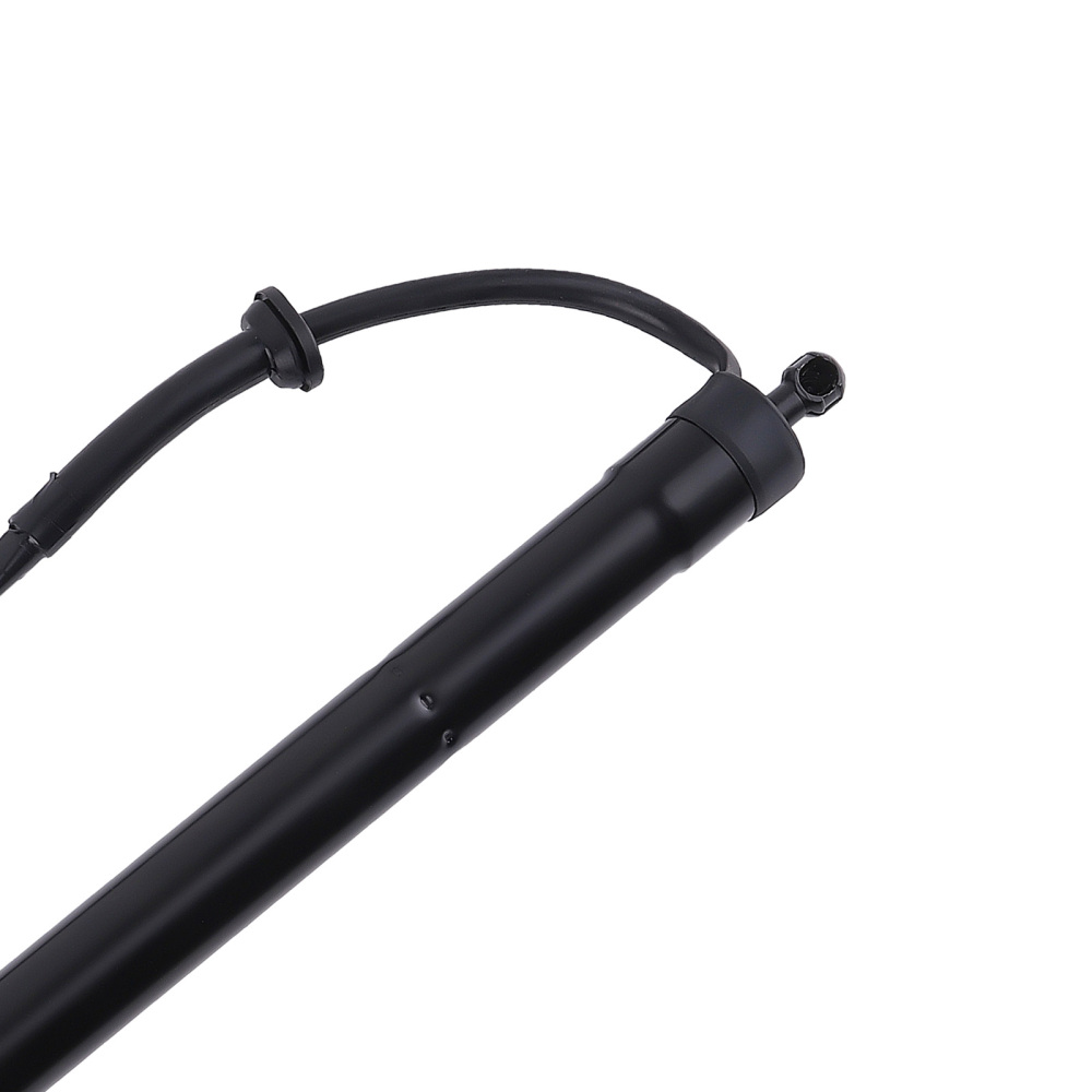 2 X Rear Power Tailgate Hatch Lift Support compatible for Toyota RAV4 2019-2022 6892042020