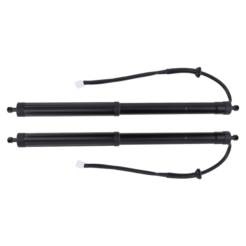 2 X Rear Power Tailgate Hatch Lift Support compatible for Toyota RAV4 2019-2022 6892042020