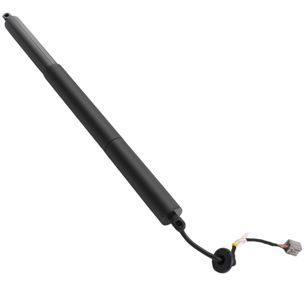 Power Lift Strut Rear L R compatible for Ford Explorer L4 /Police Interceptor 2016-2019