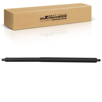 Power Lift Strut Support Rear Right compatible for Ford Escape Sport Utility 2013-2019