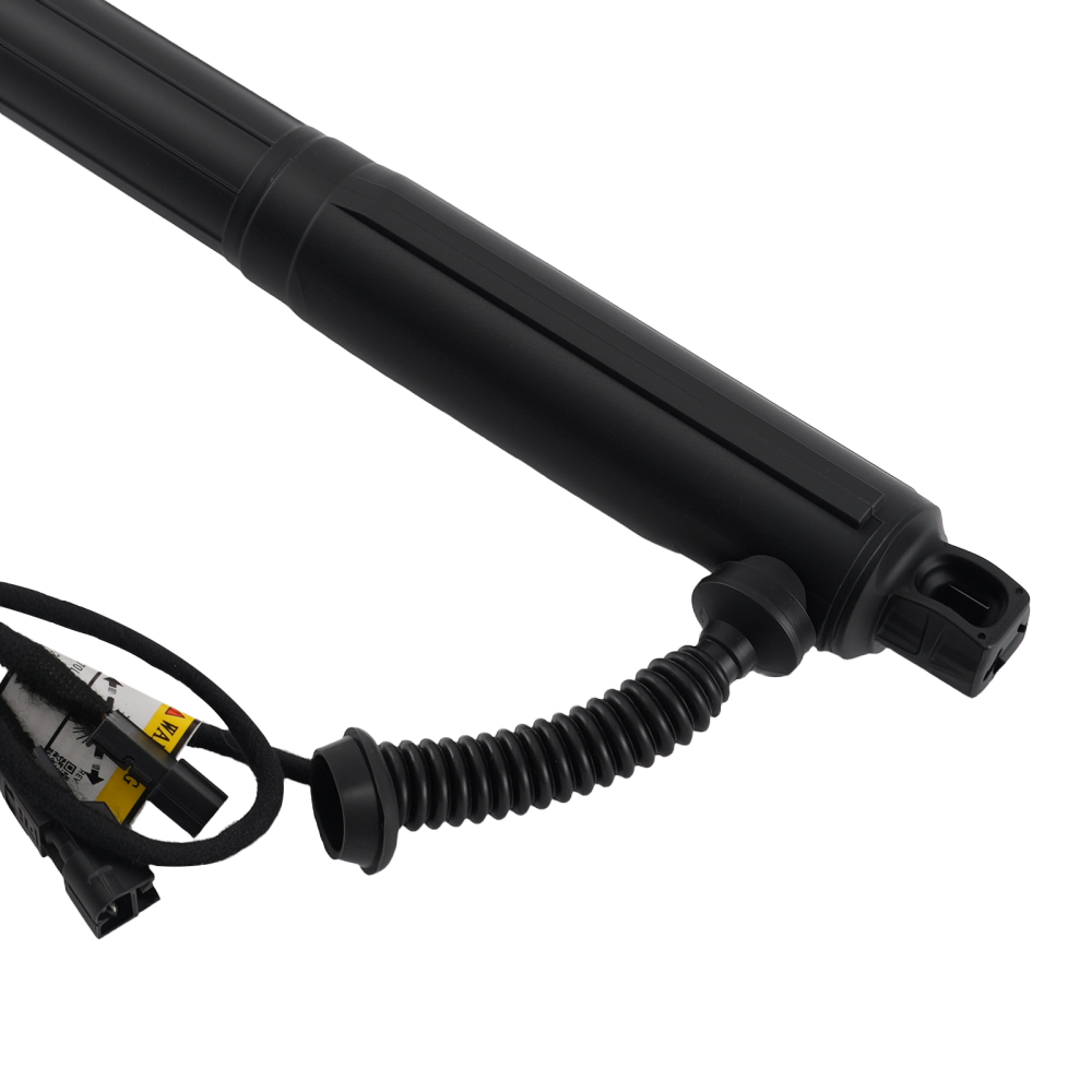 1X Ammortizzatore Bagagliaio Elettrico compatibile per BMW X5 E70 Sinistro 51247332695