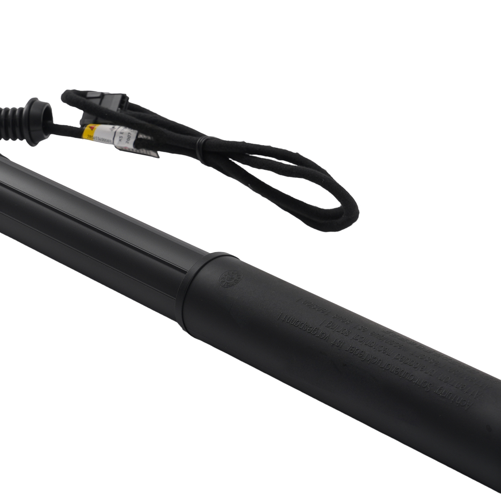 1X Ammortizzatore Bagagliaio Elettrico compatibile per BMW X5 E70 Sinistro 51247332695