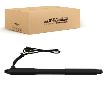 1X Ammortizzatore Bagagliaio Elettrico compatibile per BMW X5 E70 Sinistro 51247332695