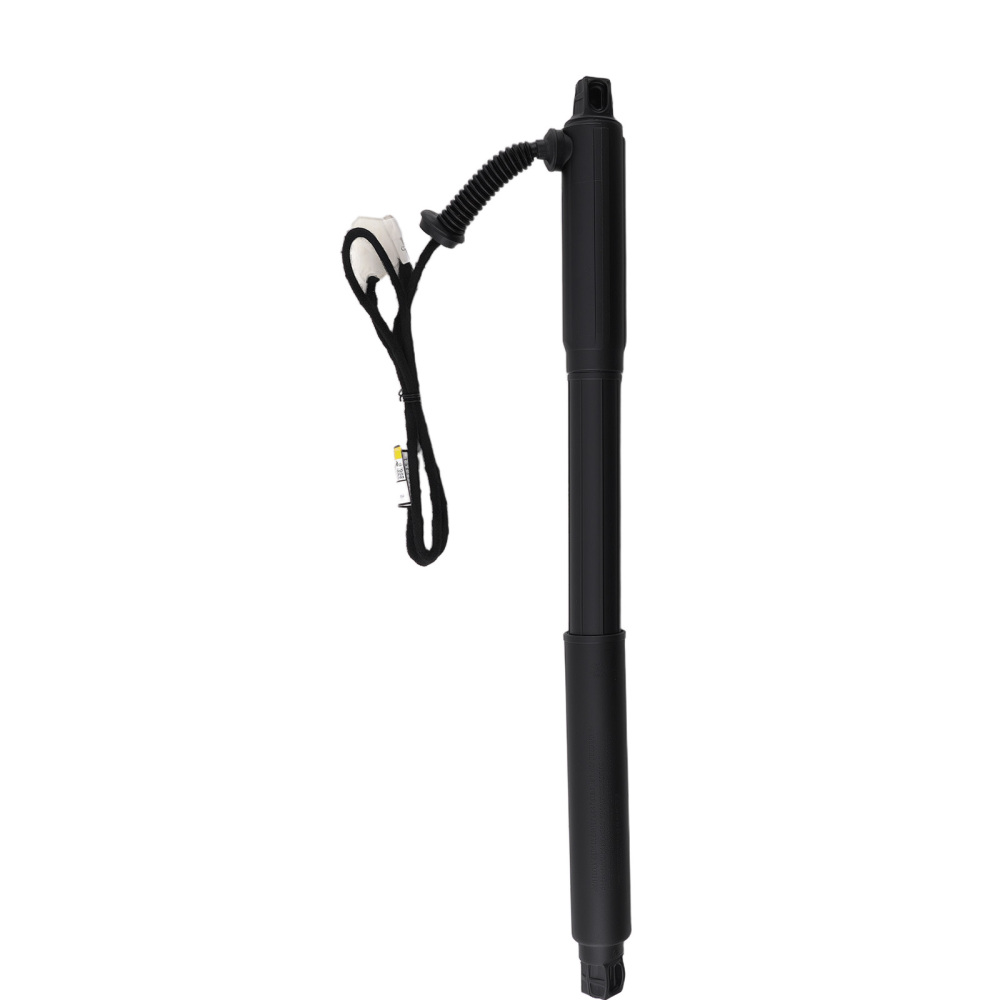 Rear left Right Power Hatch Lift Strut compatible for BMW X5 E70 LCI 07-13 51244887651