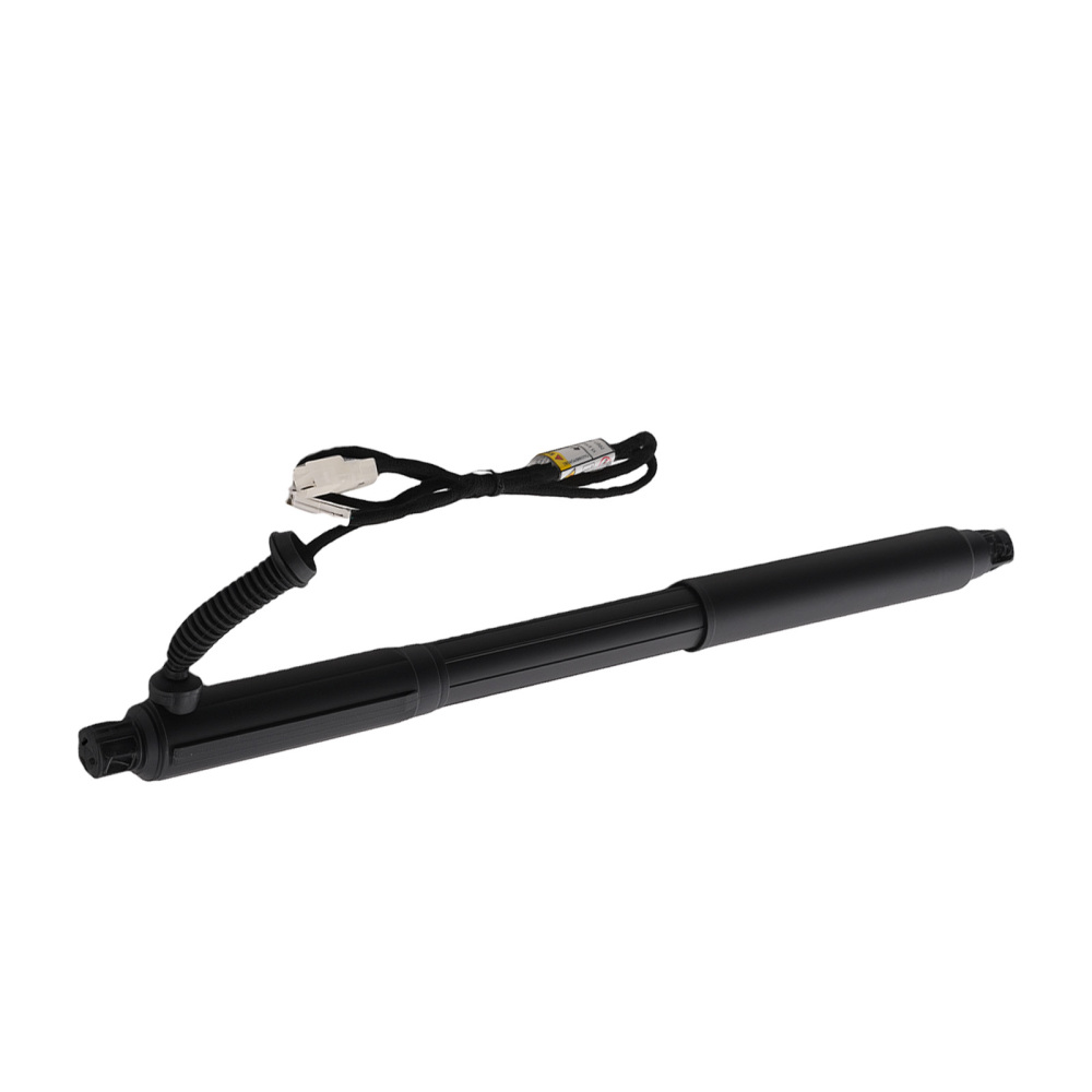 Rear left Right Power Hatch Lift Strut compatible for BMW X5 E70 LCI 07-13 51244887651