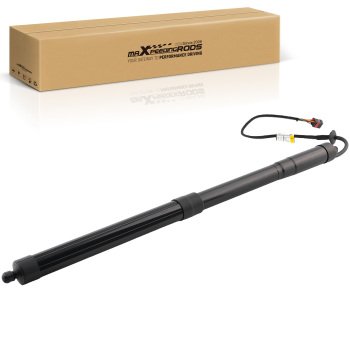 Rear Hatch Lift Support compatible for Nissan Pathfinder Platinum S 2017-2020 905609PJ0A
