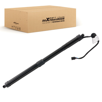 Tailgate Hatch Lift Support Left Rear compatible for Kia Sedona EX/SX 2015-2021 81770A9100
