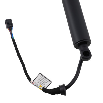 Hatch Lift Support compatible for Hyundai Santa Fe Ultimate/SEL Plus 2019 Rear Left Steel