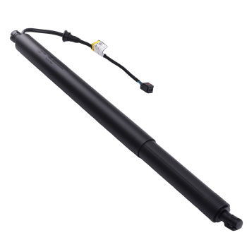 Hatch Lift Strut compatible for Hyundai Santa Fe SE/Limited 2019-2020 81841-S1100