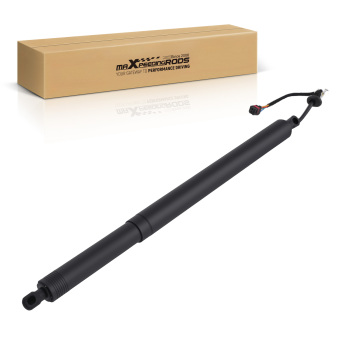 Tailgate Power Lift Supports Struts compatible for Hyundai Santa Fe 2019-2020 81841-S1100