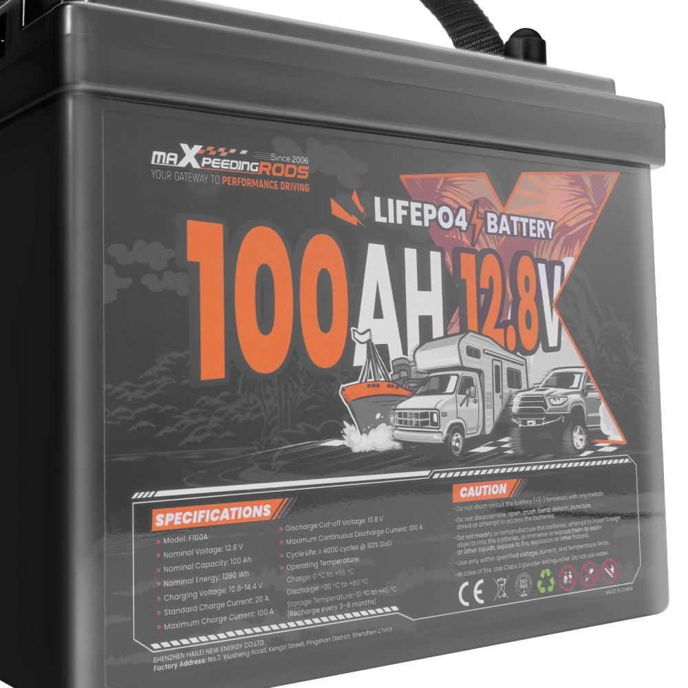 12V 100Ah LiFePO4 Lithium Battery for RV Marine Boat, Low Temp Protection BMS