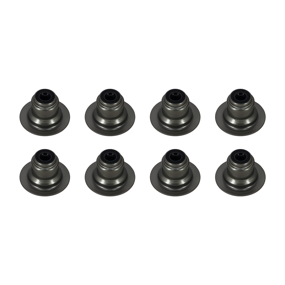 CylinderGasket Kit compatible for Polaris RZR XP 1000 / XP 4 1000 EPS 3022594 3022579