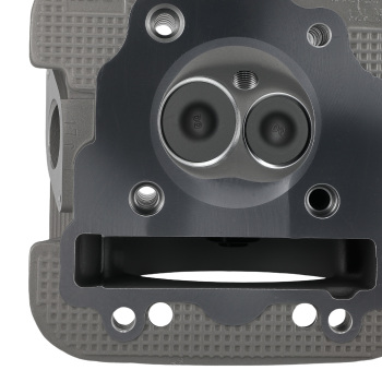 Cylinder Head Valve compatible for Yamaha Bear Tracker 250 YFM250B YFM250X 4BD-11102-00-00