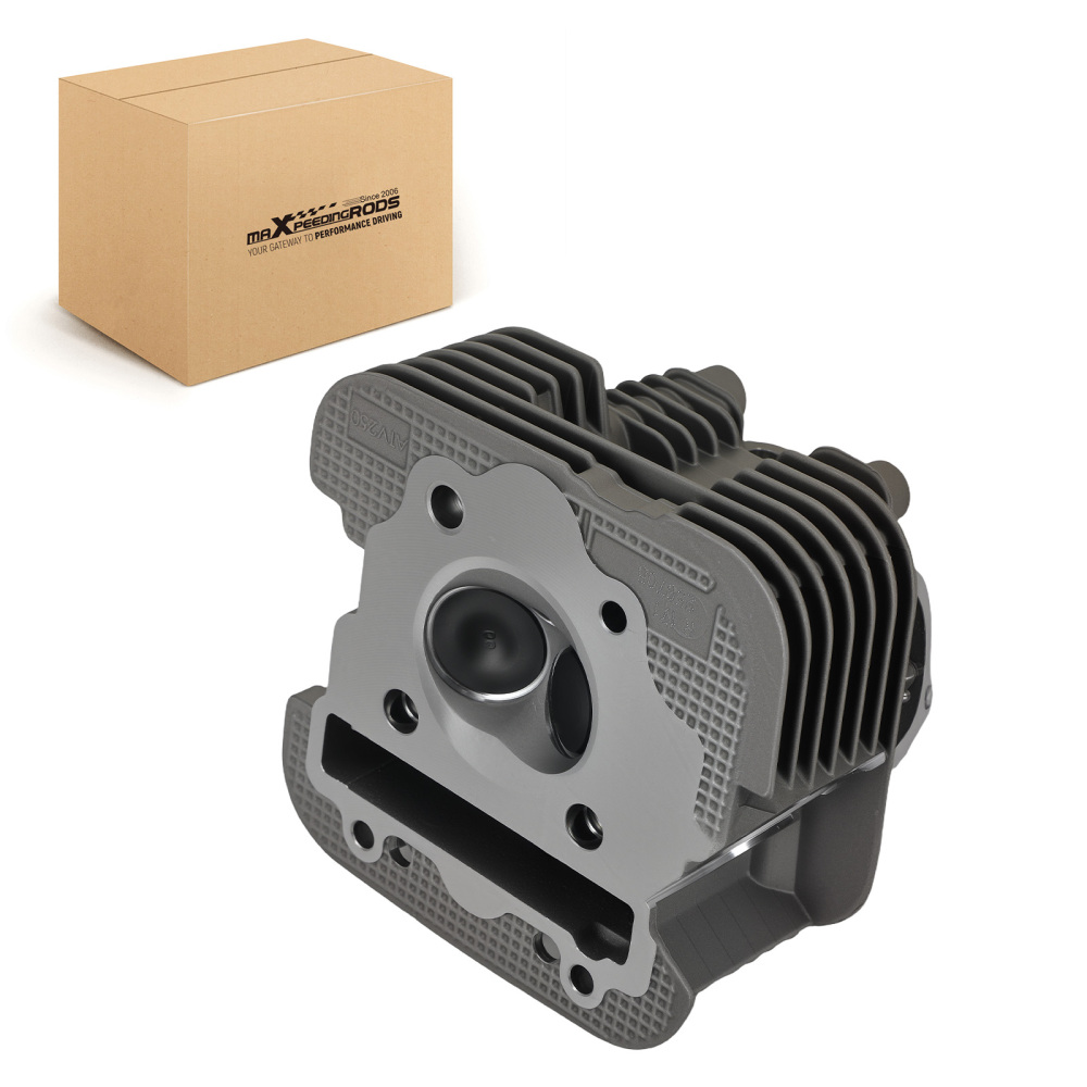 Cylinder Head Valve compatible for Yamaha Bear Tracker 250 YFM250B YFM250X 4BD-11102-00-00